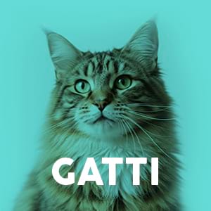 Gatti