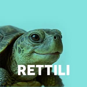 Rettili