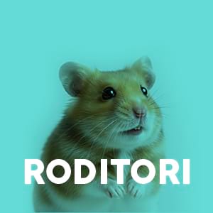 Roditori